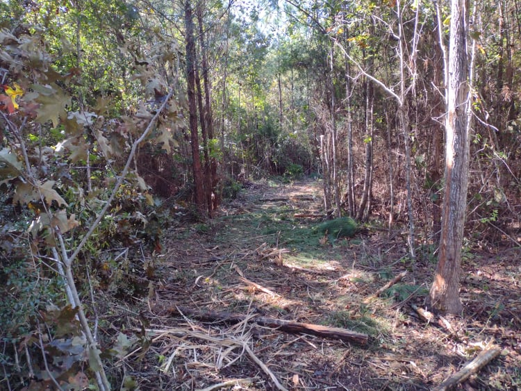 Skillet Man Land Services - pictures of my work