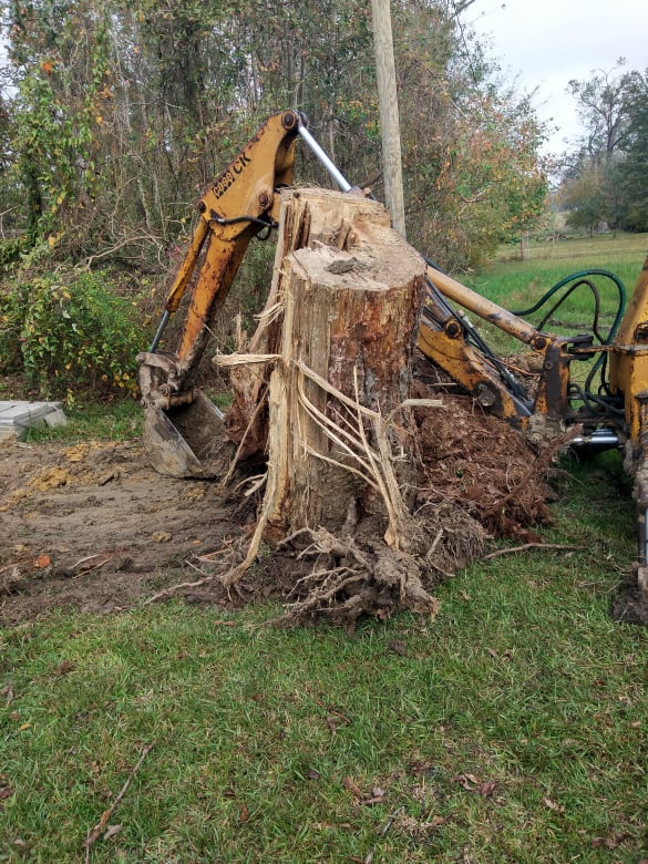 Skillet Man Land Services - pictures of my work